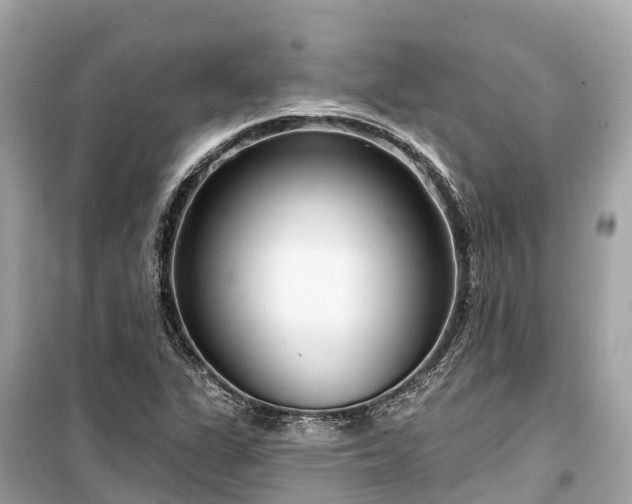 X0000099441311200805161124