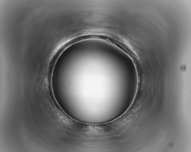 X0000099441312200805161124