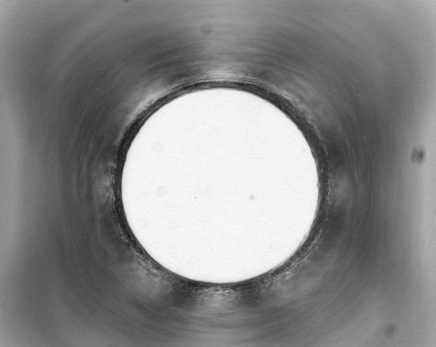 X0000099441314200805161124