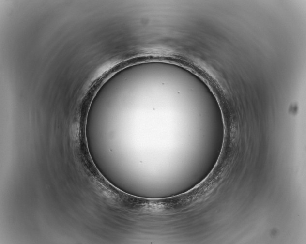 X0000099441315200805161124