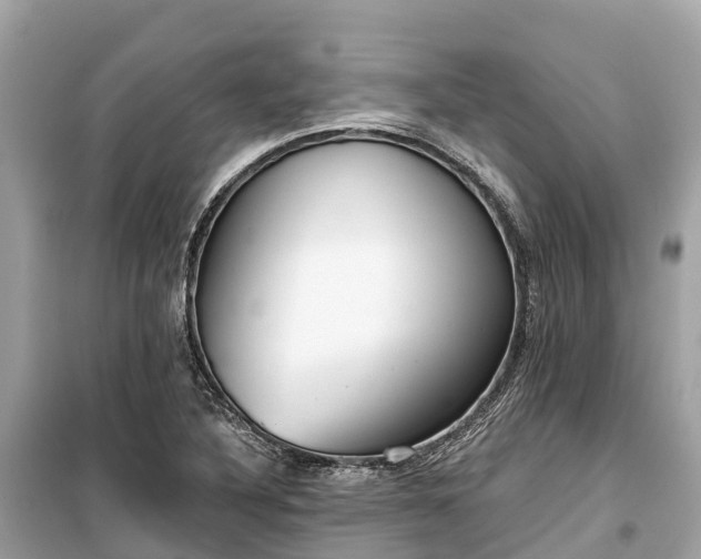 X0000099441316200805161124