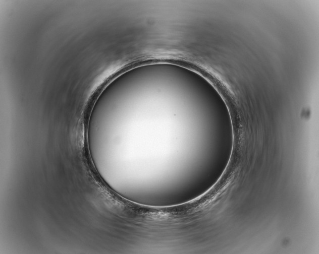 X0000099441317200805161124