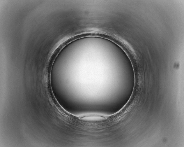 X0000099441318200805161124