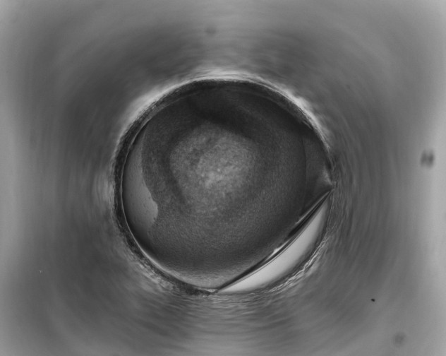 X0000099441319200805161124