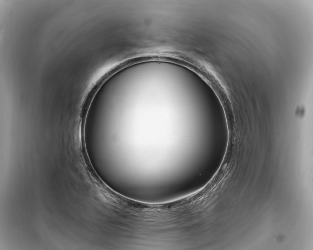 X0000099441320200805161124