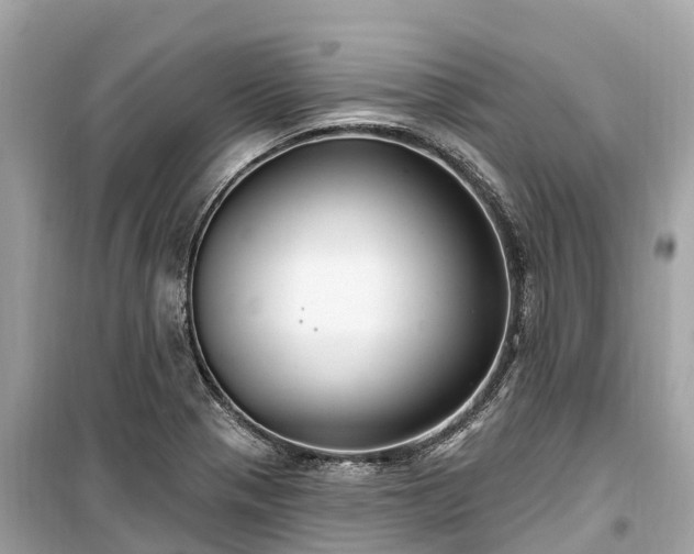 X0000099441321200805161124
