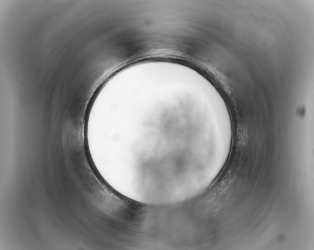 X0000099441322200805161124