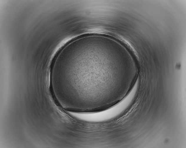 X0000099441323200805161124