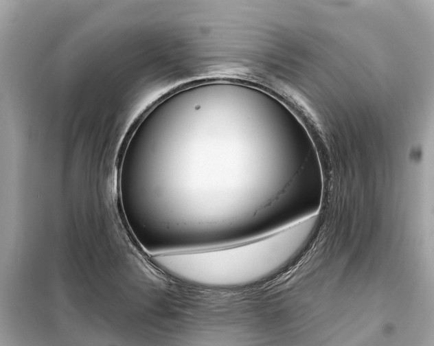 X0000099441324200805161124