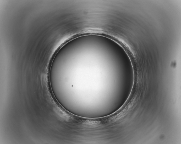 X0000099441325200805161124