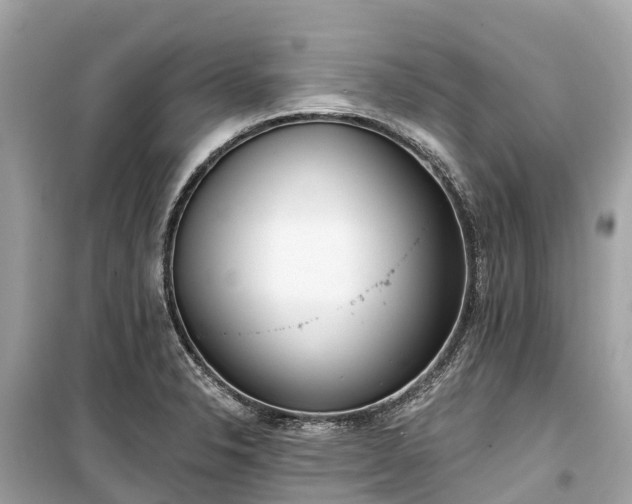 X0000099441326200805161124