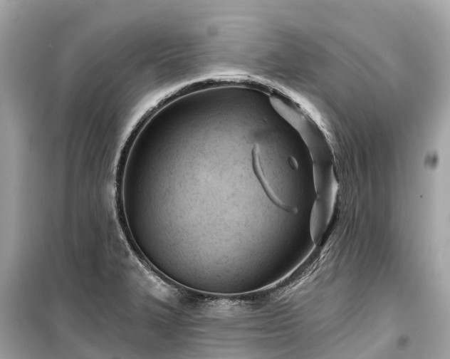 X0000099441327200805161124