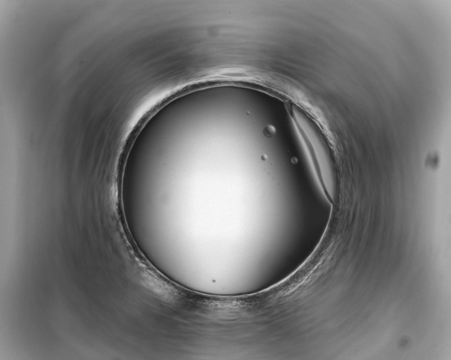 X0000099441328200805161124