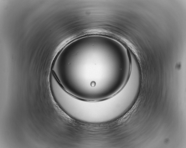 X0000099441330200805161125