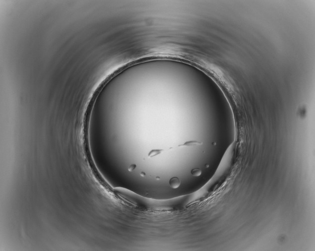 X0000099441331200805161125