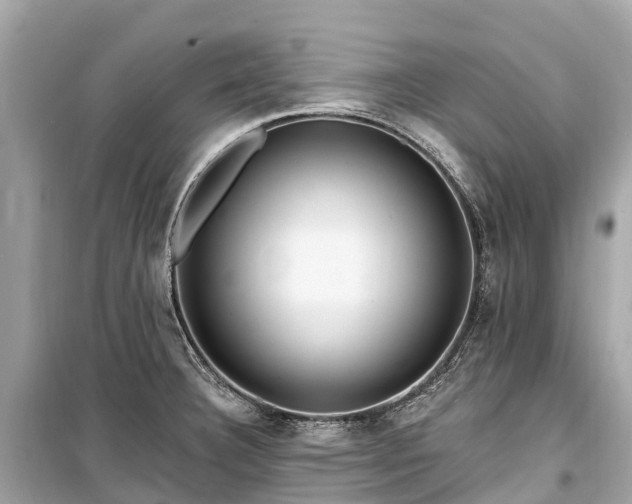 X0000099441332200805161125