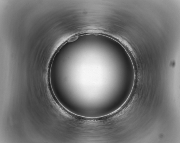 X0000099441333200805161125