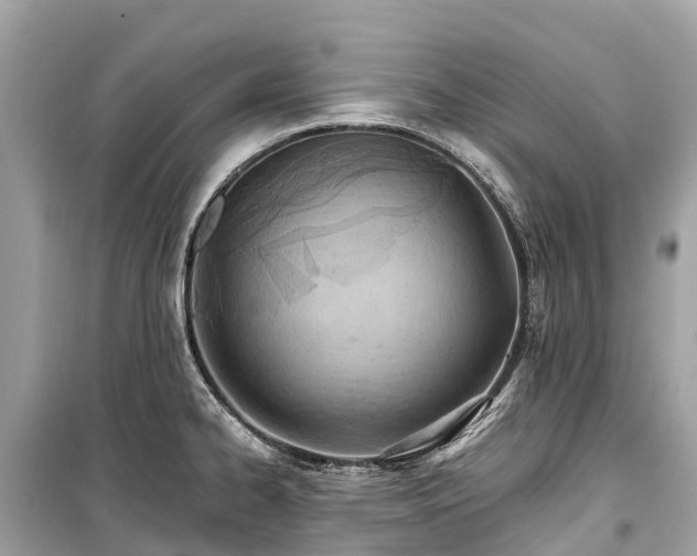 X0000099441334200805161125