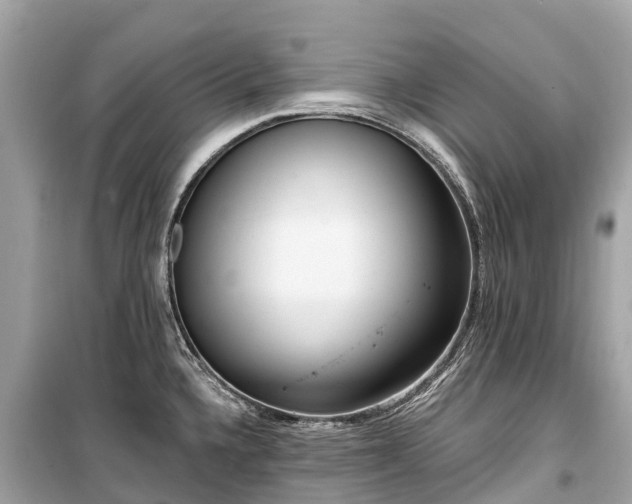 X0000099441336200805161125