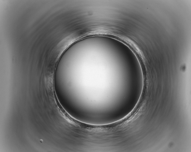 X0000099441337200805161125