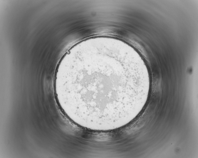 X0000099441338200805161125