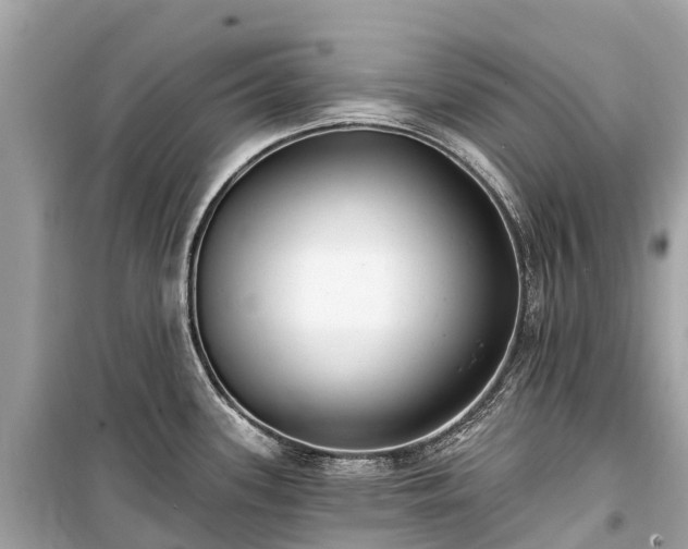 X0000099441339200805161125
