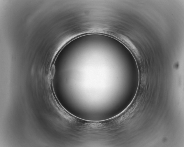 X0000099441340200805161125