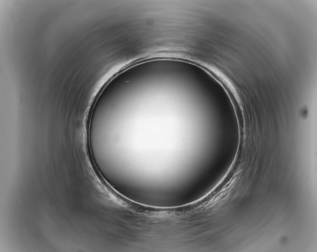 X0000099441341200805161125