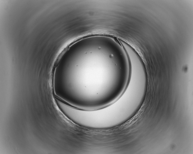 X0000099441342200805161125