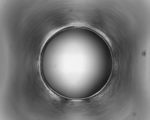X0000099441343200805161125