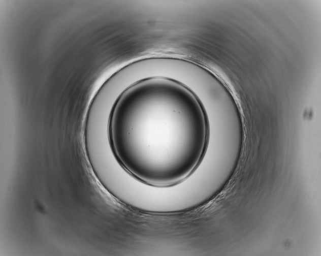X0000099441344200805161125