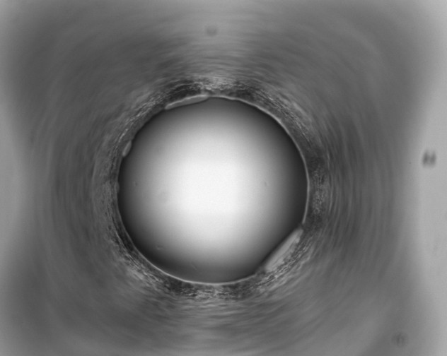 X0000099441345200805161124