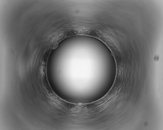 X0000099441346200805161124