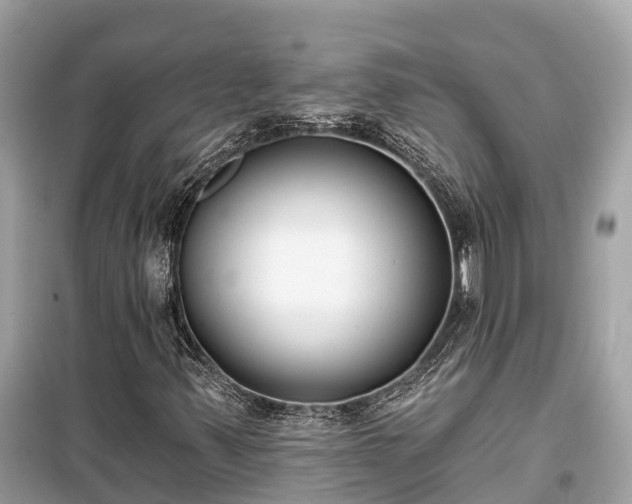 X0000099441347200805161124