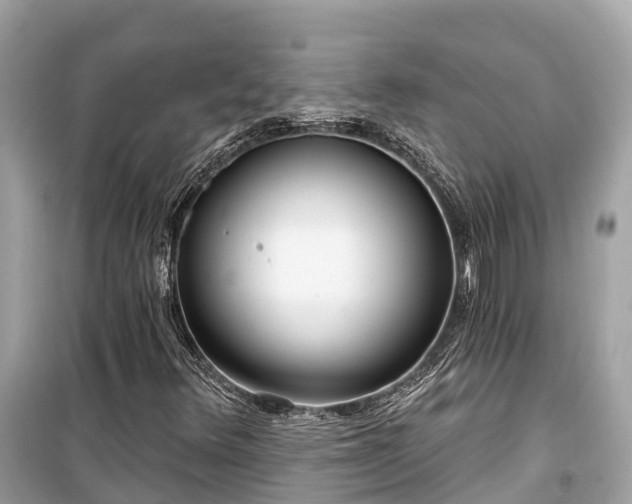 X0000099441348200805161124