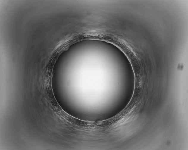 X0000099441350200805161124