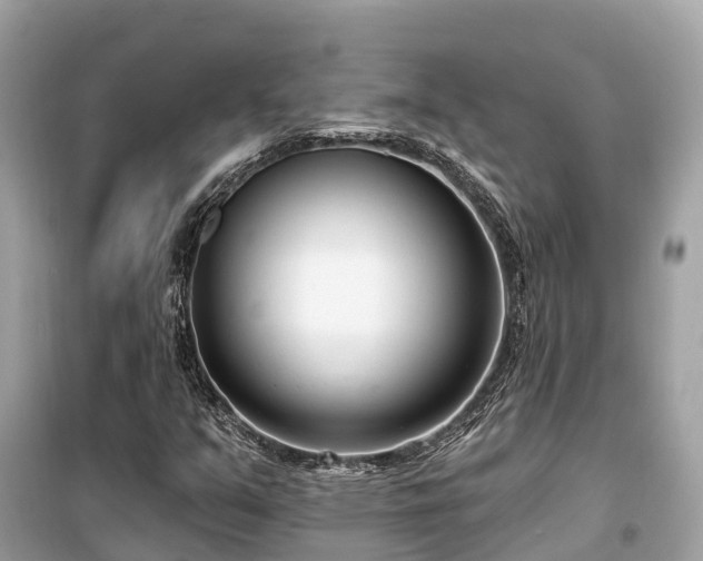 X0000099441351200805161124