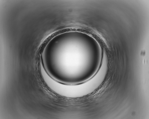 X0000099441352200805161124