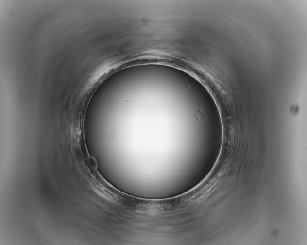 X0000099441355200805161124