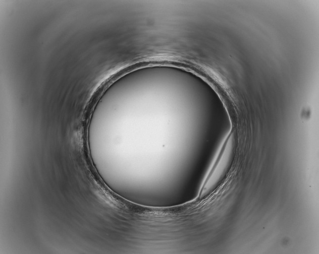X0000099441356200805161124