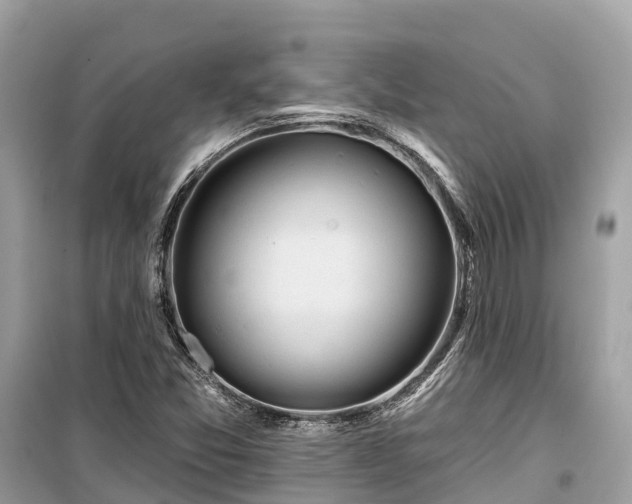 X0000099441357200805161124