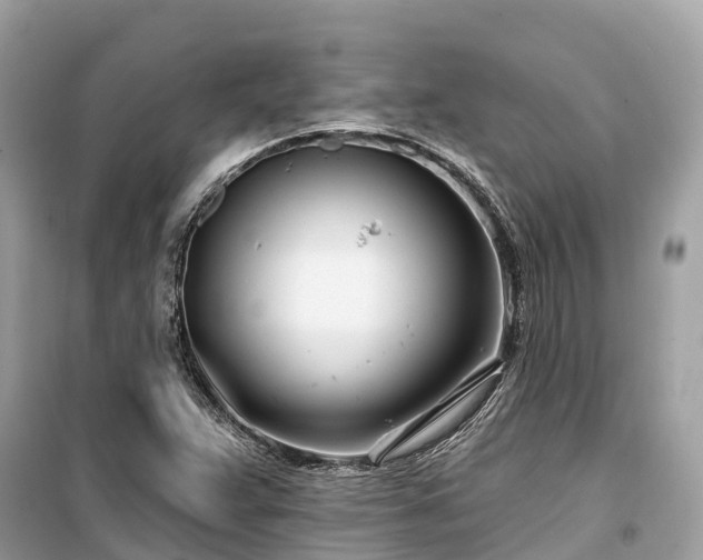 X0000099441359200805161124