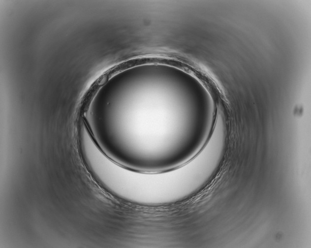 X0000099441360200805161124