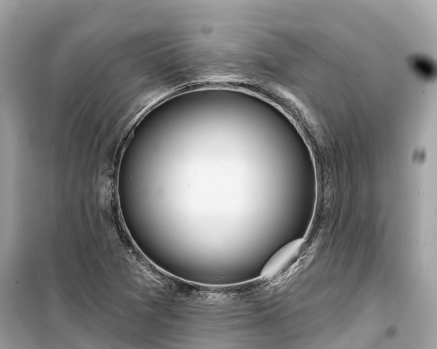 X0000099441361200805161124