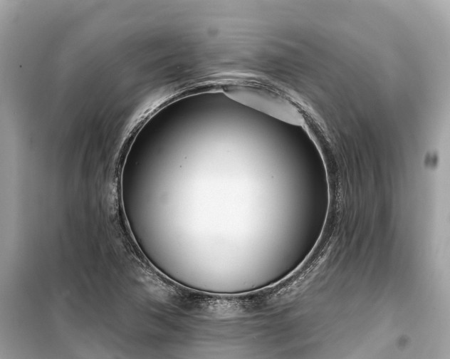 X0000099441362200805161124