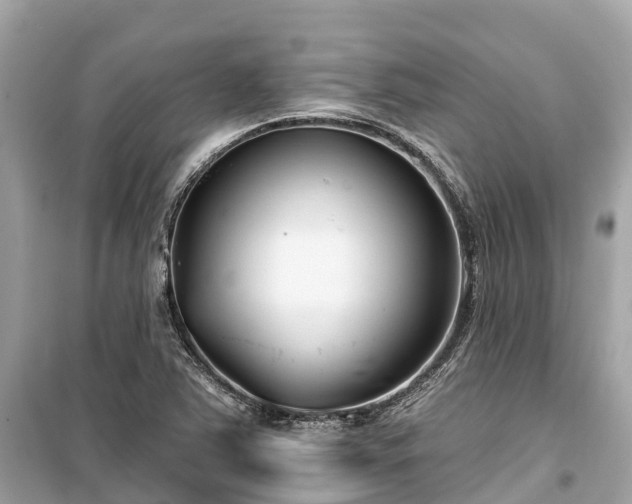 X0000099441363200805161124
