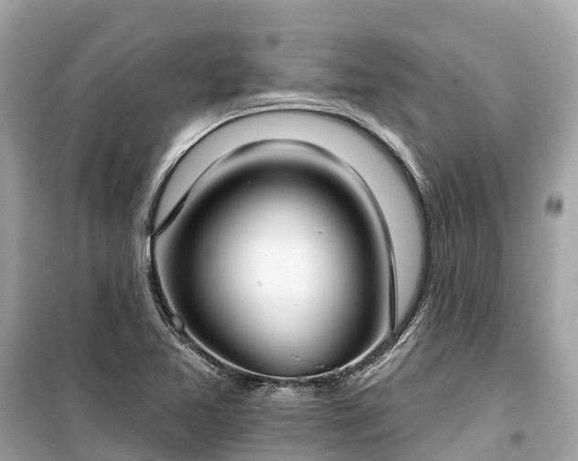 X0000099441365200805161124