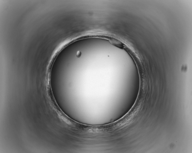 X0000099441366200805161124