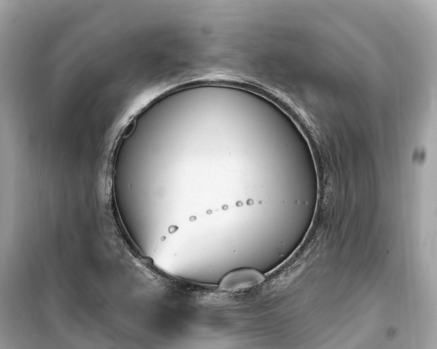 X0000099441367200805161124