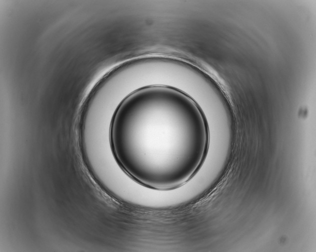 X0000099441368200805161124